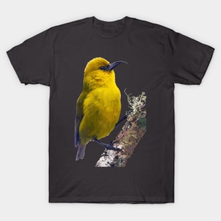 ‘Ākiapōlā’au, Hawaiian Bird #2 T-Shirt